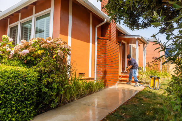 Best Pressure Washing Near Me  in Fair Plain, MI